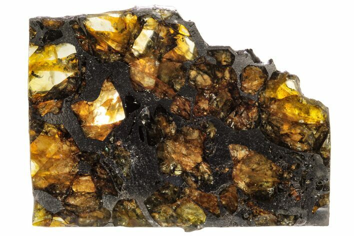 Seymchan Pallasite Meteorite Slice ( g) - Russia #305568